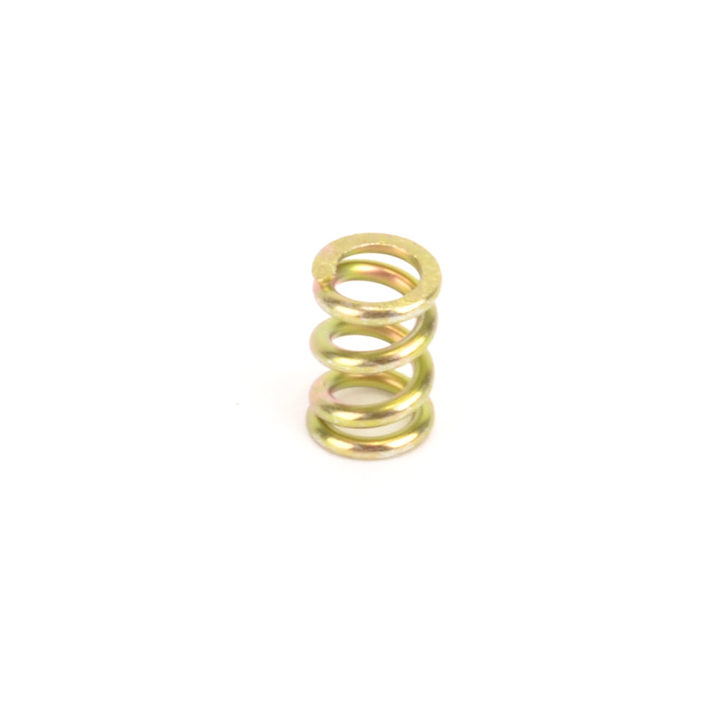 Slipper Spring